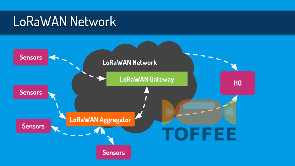 LoRaWAN Network